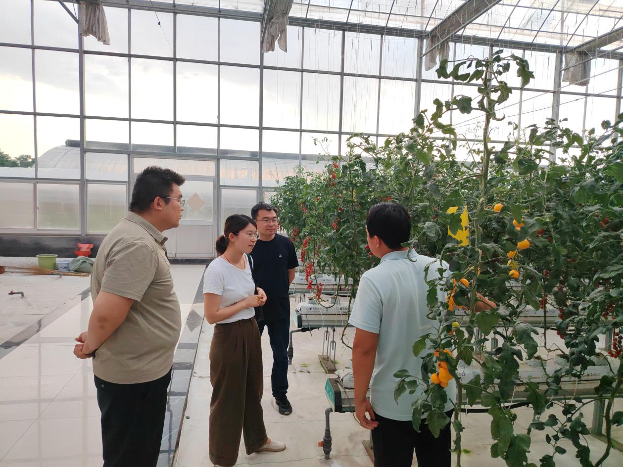 潍坊市农业科学院智慧农业研究所莅临棚联棚调研交流